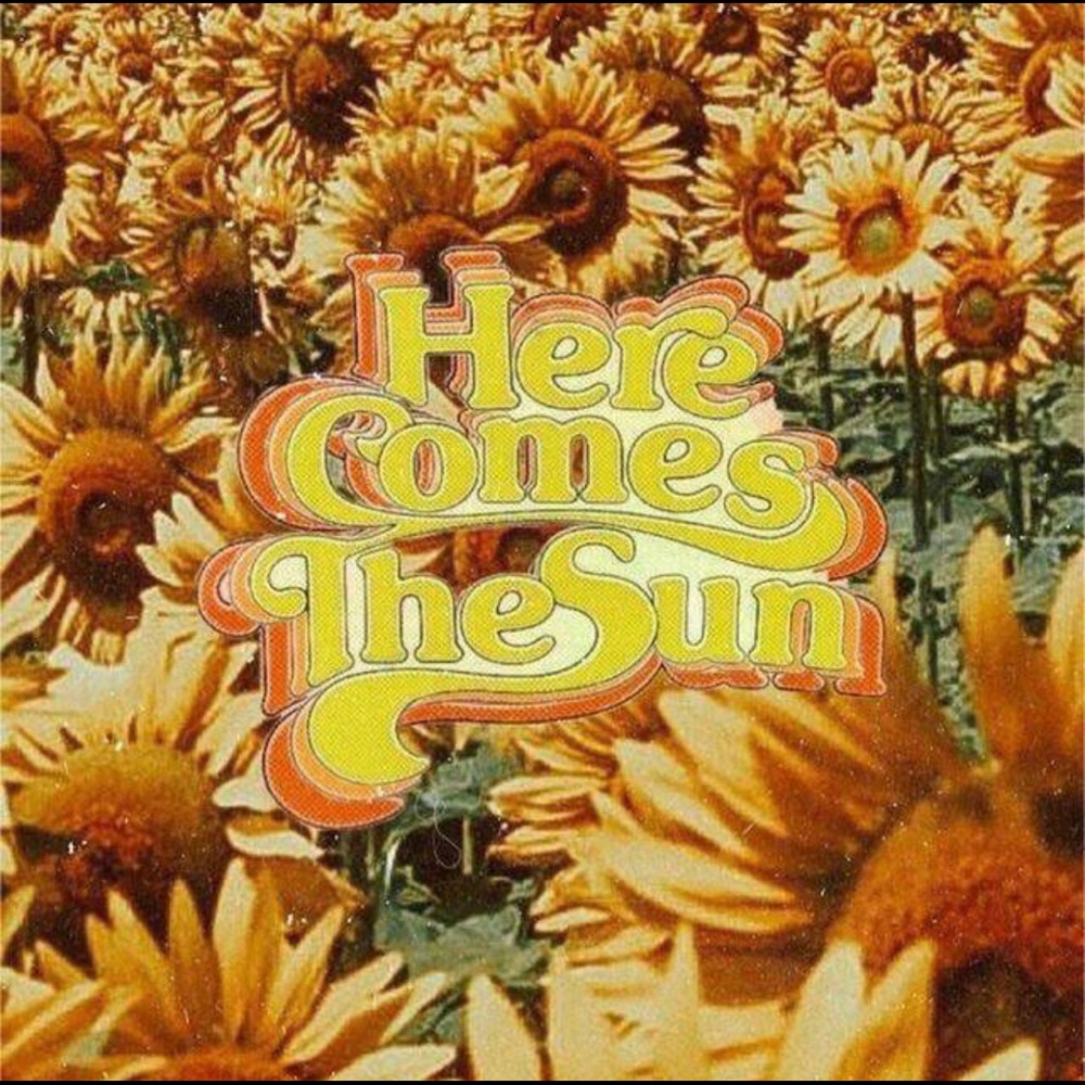 Meet your Posher, Lacy